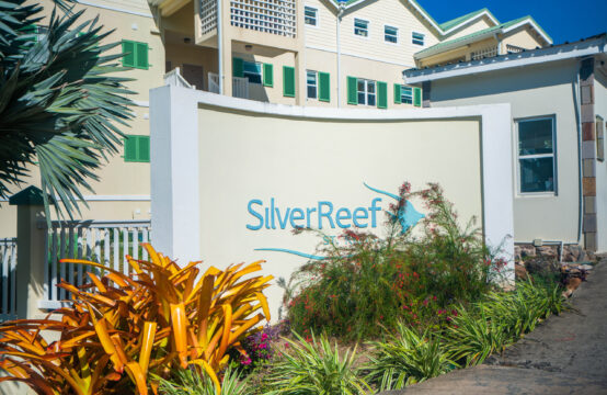 Silver Reef