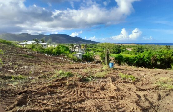 Needsmust/Conaree Estate