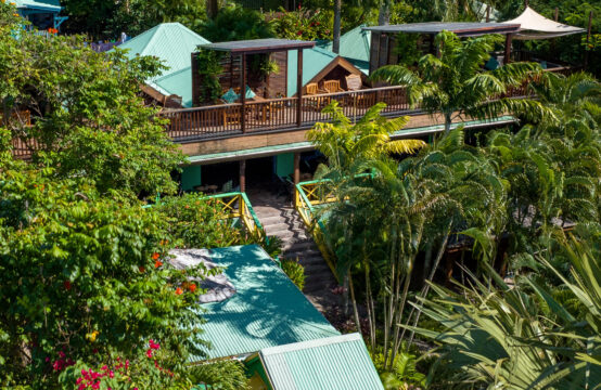 Bananas (Hospitality Investment) &#8211; Nevis