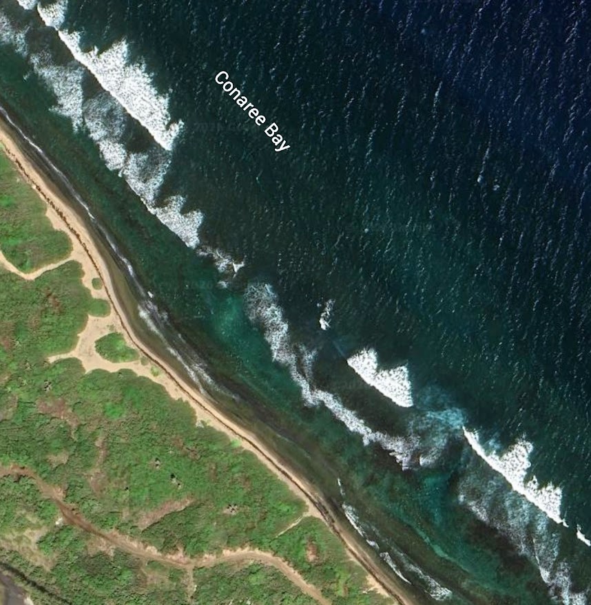 CONAREE &#8211; Beachfront