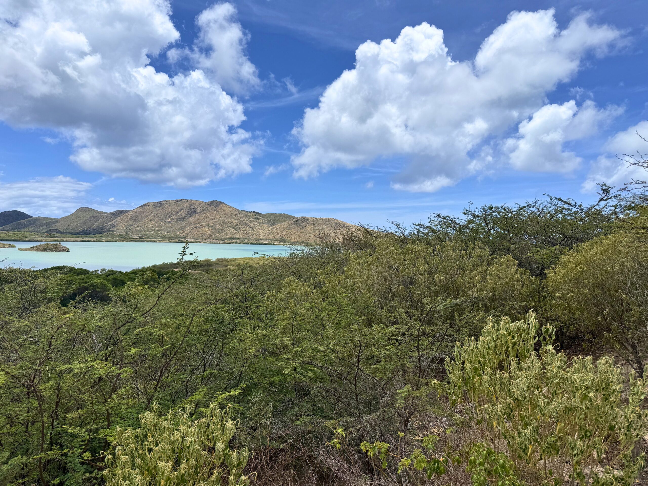 CHRISTOPHE HARBOUR BEACHWALK HOMESITE